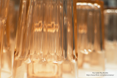 Ana_Isabel_Rey_Botello_DSC_0072_1