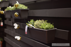 Ana_Isabel_Rey_Botello_DSC_0088_1