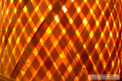 Ana_Isabel_Rey_Botello_DSC_0100_1