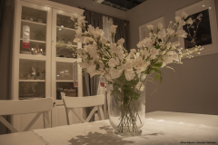 Ana_Maria_Garcia_Garcia_DSC0886f