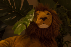 Ana_Maria_Garcia_Garcia_DSC0932f