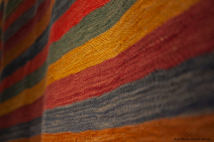 Ana_Maria_Garcia_Garcia_DSC0936f