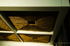 AnastasiaKondratieva_com_DSCF3014