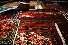 AnastasiaKondratieva_com_DSCF3015