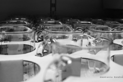 AnastasiaKondratieva_com_DSCF3027