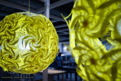 AnastasiaKondratieva_com_DSCF3066