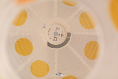 DelPrestamo_2019_1-28