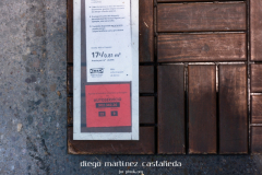 Diego_Martinez_Castañeda_03