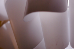 Diego_Martinez_Castañeda_17