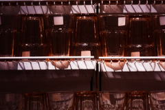 Diego_Martinez_Castañeda_34