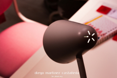 Diego_Martinez_Castañeda_39