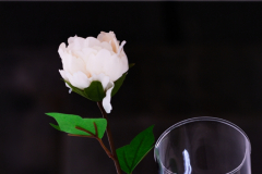 Diego_Martinez_Castañeda_53