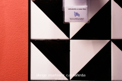 Diego_Martinez_Castañeda_64