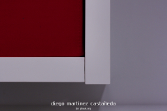 Diego_Martinez_Castañeda_70