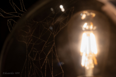 Eduardo_HM_Foto_Concurso