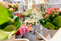 Francisco_Jose_Roman_Medina_DSC3479-3