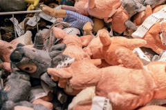 Francisco_Jose_Roman_Medina_DSC3529-3