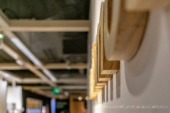 Francisco_Jose_Roman_Medina_DSC3535-3