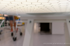 Francisco_Jose_Roman_Medina_DSC3544-3