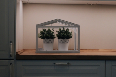 Javier_Aguadero_2019_0729_19290100-01