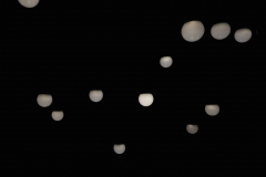 Javier_Aguadero_2019_0729_20065400-01