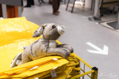 Juanma_Navarro_JNR_8837