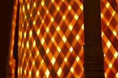 MMarch_DSC_4220