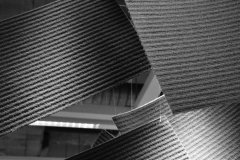 MMarch_DSC_4261
