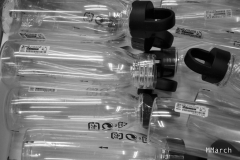MMarch_DSC_4306