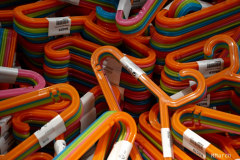 MMarch_DSC_4321