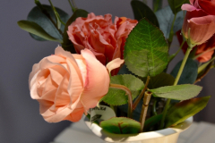 MMarch_DSC_4369