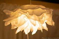 Manuel_Aguirre_Camacho_DSC_0074