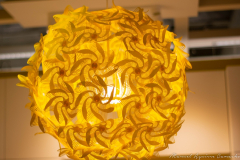 Manuel_Aguirre_Camacho_DSC_0076