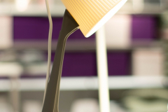 Manuel_Aguirre_Camacho_DSC_0094