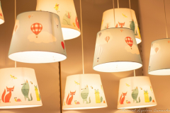 Manuel_Aguirre_Camacho_DSC_0121