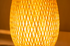 Manuel_Aguirre_Camacho_DSC_0123