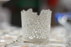 Manuel_Aguirre_Camacho_DSC_0134