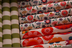 Raquel_de_la_Iglesia_11