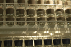 Raquel_de_la_Iglesia_14