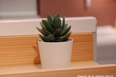 Raquel_de_la_Iglesia_2