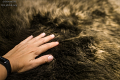 SusanSM_IkeaPHWK-108