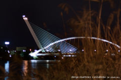 20190914-PHWK-Hora_azul_de_Triana_al_Alamillo_7917