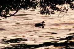 Eduardo_L_M_highres_485019776