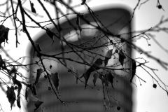 Eduardo_L_M_highres_485019780