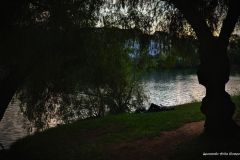 Leonardo_Avila_Gomez_highres_484981488