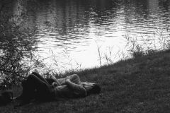 Tomas_highres_484950888