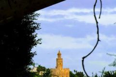 Tomas_highres_484950889