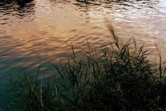 Tomas_highres_484950890