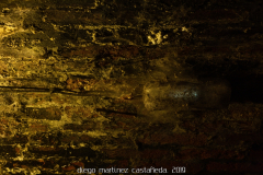 diego_martínez_castañeda_2019