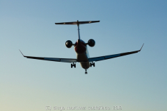 diego martínez castañeda